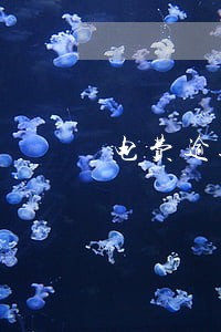 电费逾期多长时间通知 电费逾期多长时间通知