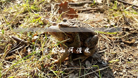 电费逾期如何催收 电费逾期如何催收