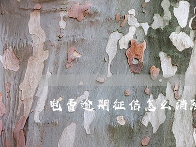 电费逾期征信怎么消除 电费逾期征信怎么消除