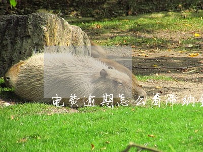 电费逾期怎么看滞纳金