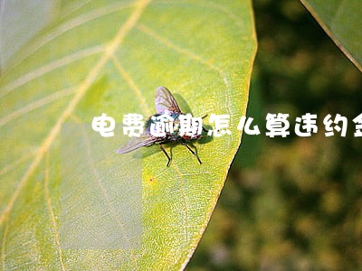 电费逾期怎么算违约金