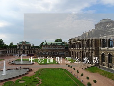 电费逾期怎么缴费