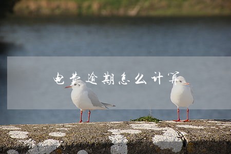 电费逾期怎么计算