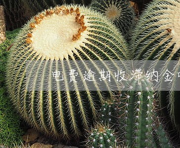 电费逾期收滞纳金吗 电费逾期收滞纳金吗