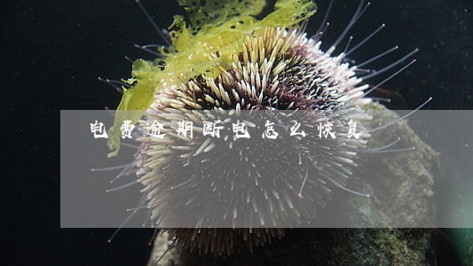 电费逾期断电怎么恢复 电费逾期断电怎么恢复