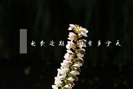 电费逾期时间有多少天 电费逾期时间有多少天