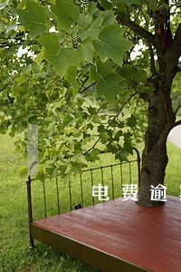 电费逾期有什么后果吗 电费逾期有什么后果吗