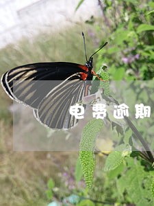 电费逾期有利息么 电费逾期有利息么