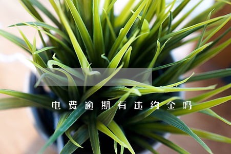 电费逾期有违约金吗 电费逾期有违约金吗
