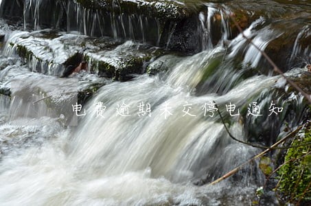 电费逾期未交停电通知 电费逾期未交停电通知