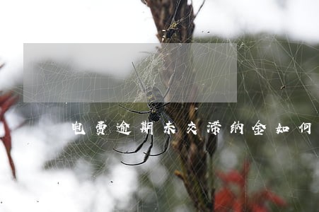 电费逾期未交滞纳金如何计算 电费逾期未交滞纳金如何计算