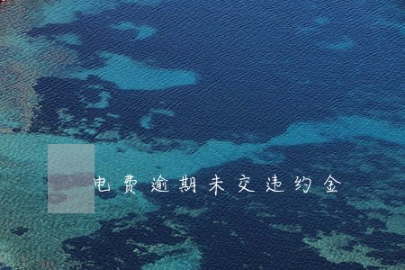 电费逾期未交违约金 电费逾期未交违约金