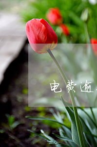 电费逾期未交通知单 电费逾期未交通知单
