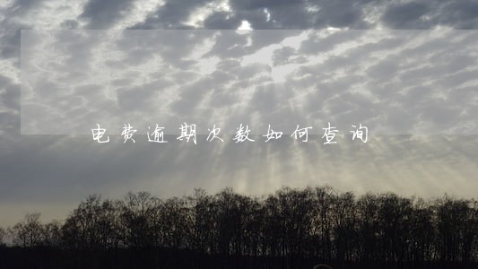电费逾期次数如何查询