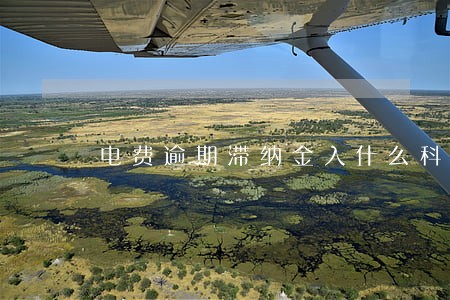电费逾期滞纳金入什么科目 电费逾期滞纳金入什么科目