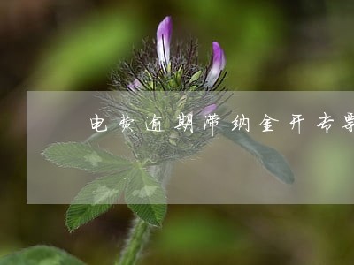 电费逾期滞纳金开专票是否扣除 电费逾期滞纳金开专票是否扣除