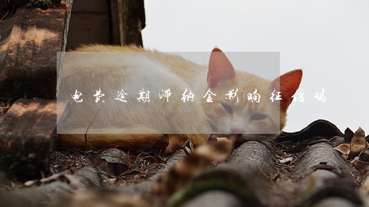 电费逾期滞纳金影响征信吗