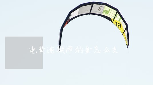 电费逾期滞纳金怎么交