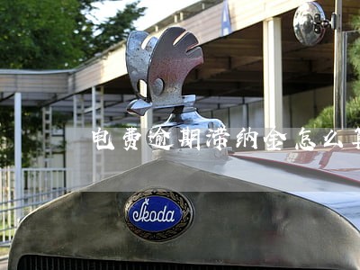 电费逾期滞纳金怎么算的 电费逾期滞纳金怎么算的