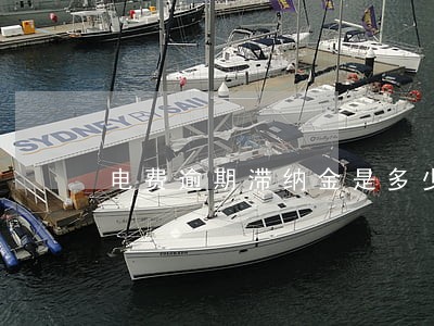 电费逾期滞纳金是多少钱 电费逾期滞纳金是多少钱
