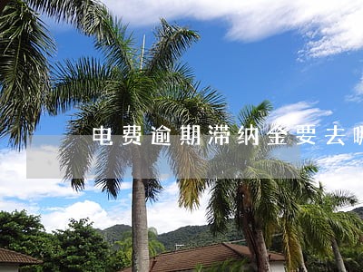 电费逾期滞纳金要去哪里交 电费逾期滞纳金要去哪里交
