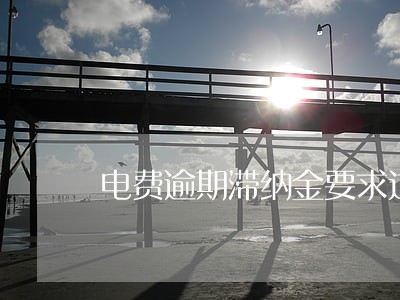 电费逾期滞纳金要求过分 电费逾期滞纳金要求过分