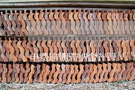 电费逾期滞纳金计算 电费逾期滞纳金计算