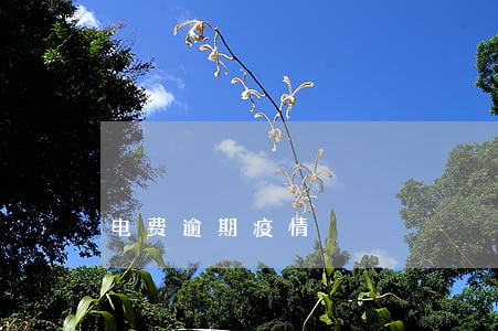 电费逾期疫情 电费逾期疫情