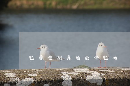 电费逾期真的会停电吗 电费逾期真的会停电吗