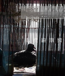 电费逾期缴纳滞纳金怎么算 电费逾期缴纳滞纳金怎么算