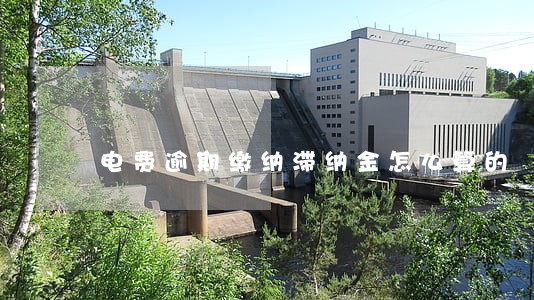 电费逾期缴纳滞纳金怎么算的 电费逾期缴纳滞纳金怎么算的