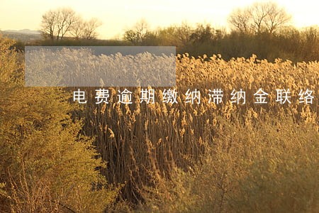 电费逾期缴纳滞纳金联络函范本 电费逾期缴纳滞纳金联络函范本