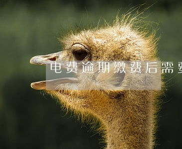 电费逾期缴费后需要打电话吗 电费逾期缴费后需要打电话吗