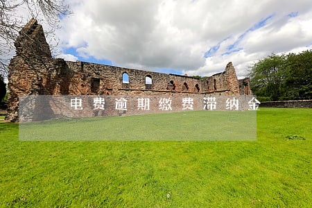 电费逾期缴费滞纳金 电费逾期缴费滞纳金