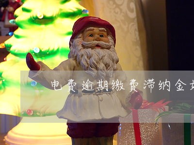 电费逾期缴费滞纳金如何计算 电费逾期缴费滞纳金如何计算