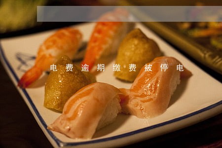 电费逾期缴费被停电 电费逾期缴费被停电