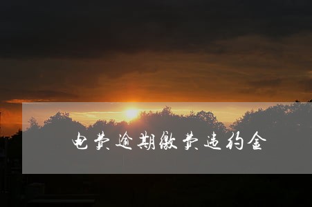 电费逾期缴费违约金 电费逾期缴费违约金
