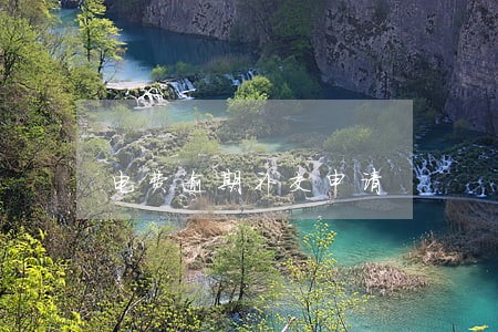 电费逾期补交申请
