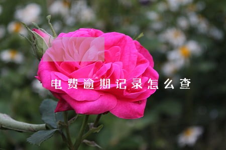 电费逾期记录怎么查 电费逾期记录怎么查