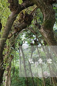 电费逾期费 电费逾期费