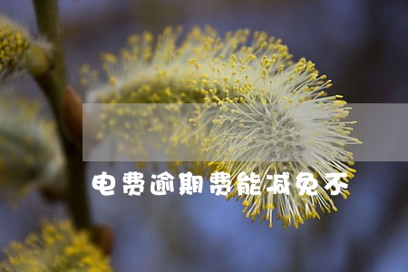 电费逾期费能减免不 电费逾期费能减免不