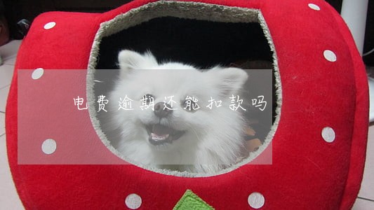 电费逾期还能扣款吗 电费逾期还能扣款吗