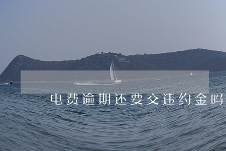 电费逾期还要交违约金吗 电费逾期还要交违约金吗