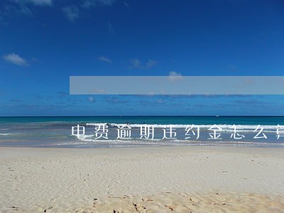 电费逾期违约金怎么算的