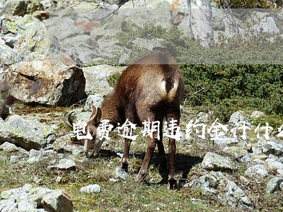 电费逾期违约金计什么科目 电费逾期违约金计什么科目