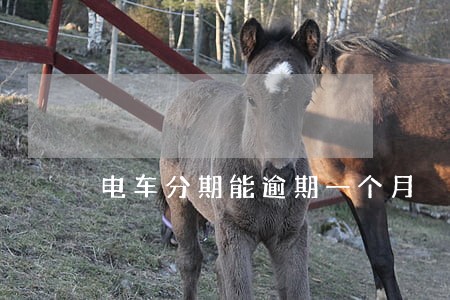 电车分期能逾期一个月 电车分期能逾期一个月