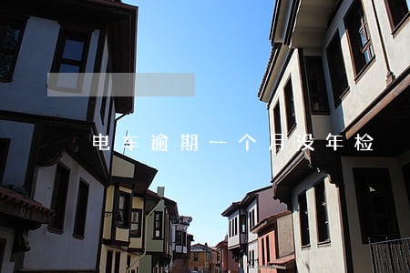 电车逾期一个月没年检 电车逾期一个月没年检