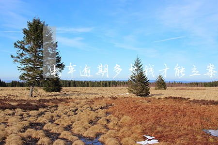电车逾期多少钱才能立案 电车逾期多少钱才能立案