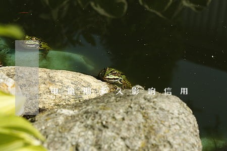 电逾期多久影响信用 电逾期多久影响信用