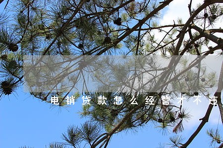 电销贷款怎么经营才不违法 电销贷款怎么经营才不违法